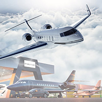 Plants: image 4 0f 4 thumb